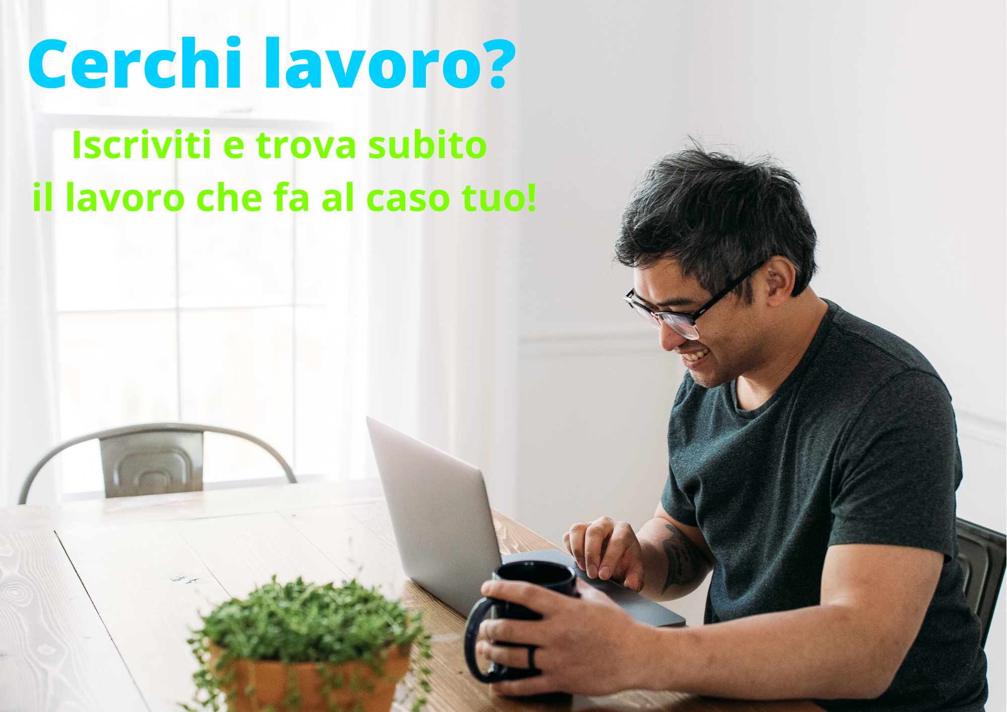 Cerchi lavoro?